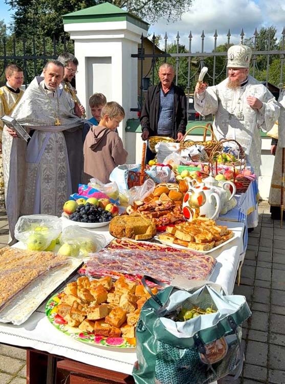 Титульное фото новости